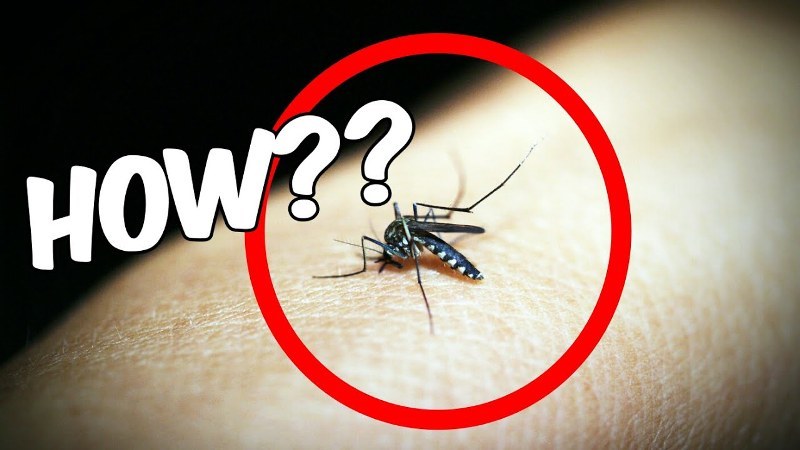 LG giới thiệu điện thoại siêu dị có tính năng đuổi muỗi