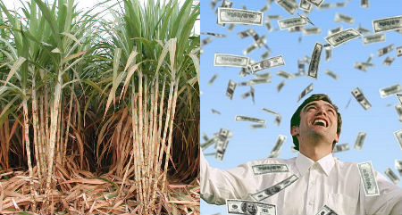 Novaland ra tay, 'ông lớn' Sài Gòn lãi đậm 550 tỷ