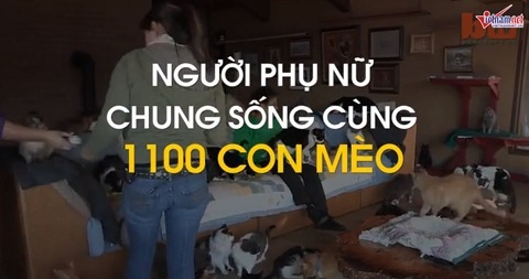 Người phụ nữ kỳ lạ, bán cả nhà để sống chung với mèo