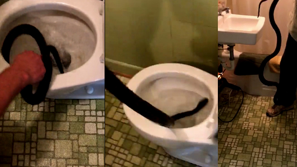 10 clip 'nóng': Tay không bắt rắn độc gần 2m trong bồn cầu