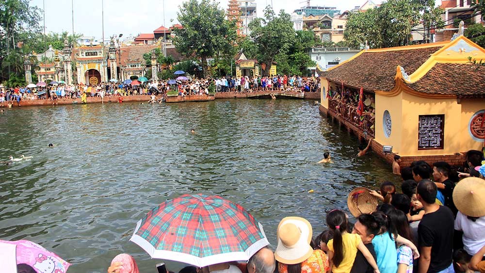 Ngả nghiêng xem thanh niên trai tráng 'truy đuổi' đàn vịt