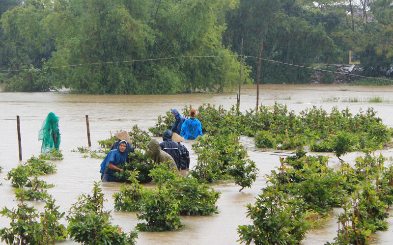 Mới qua nửa năm 2017, thiên tai tàn phá 20.000 tỷ đồng