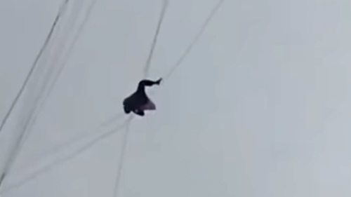 Video thanh niên bị mắc kẹt giữa không trung gây xôn xao