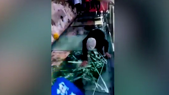 Du khách khóc thét khi kính lối đi cầu treo cao nghìn mét nứt toác