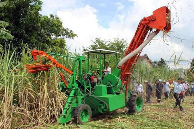 Những tỷ phú nông dân: Siêu giàu từ trồng củ cải, chăn lợn, nuôi gà
