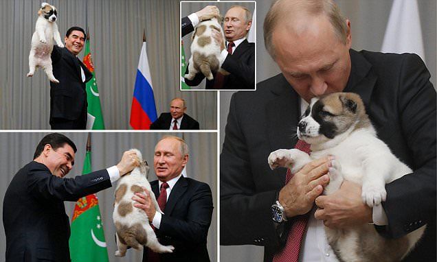 Tổng thống Putin được tặng thêm cún cưng