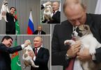 Tổng thống Putin được tặng thêm cún cưng
