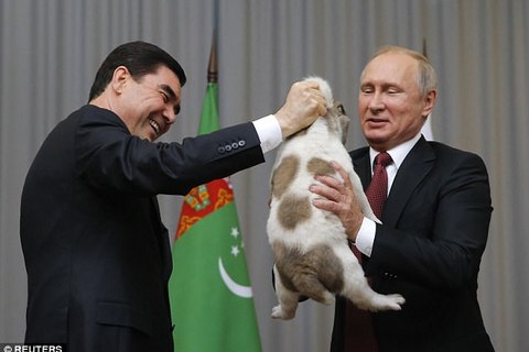 Tổng thống Putin được tặng thêm cún cưng
