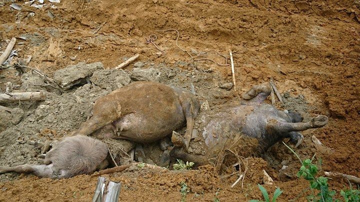 Cảnh tan hoang xé lòng nơi 18 người bị vùi lấp