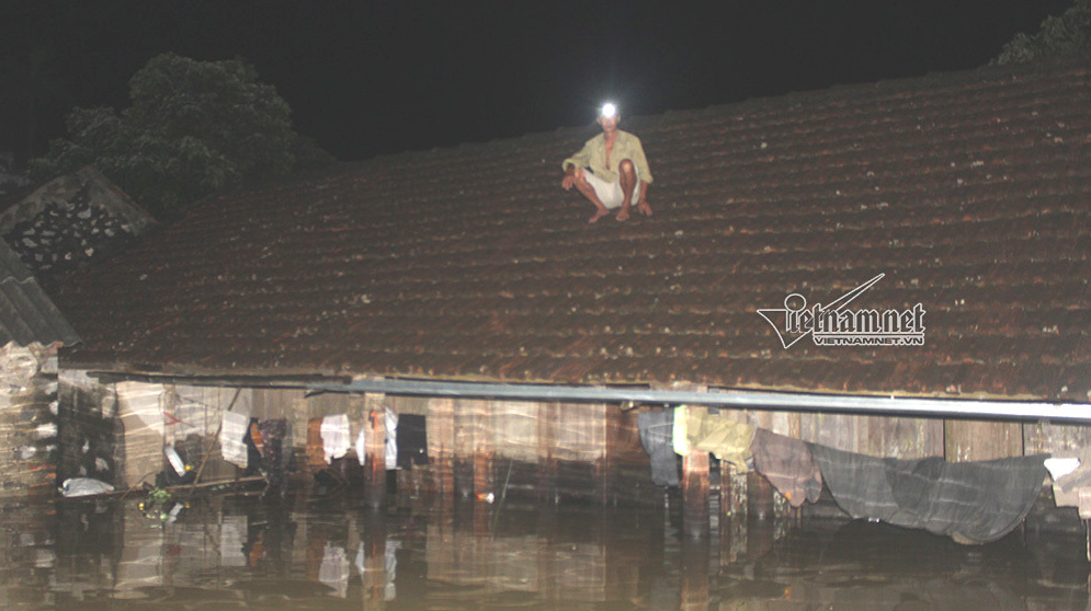 Đội đèn ngồi im lìm trên nóc nhà nhìn biển nước mênh mông