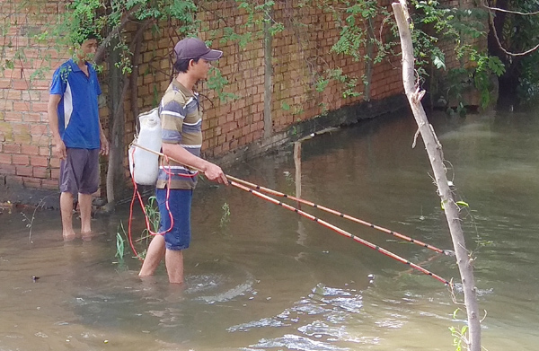 Sau trận mưa lớn vào hai hôm trước, đến nay nhiều nơi trên địa bàn quận 12 (TPHCM) vẫn ngập nặng. Nhiều người dân đã dùng xung điện, vợt bắt cá, ốc dọc các tuyến đường, khu dân cư bị ngập.