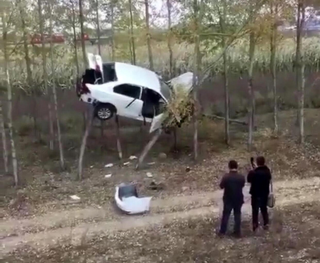 Tài xế mất lái, ô tô 'bay' lên giữa hai ngọn cây