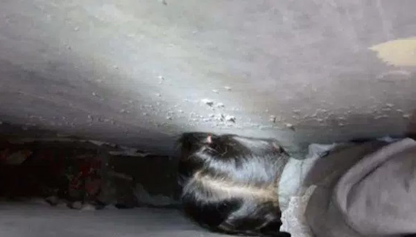Thót tim cứu bé gái kẹt đầu giữa hai bức tường