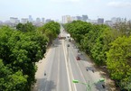 Hà Nội bắt đầu chặt, chuyển hơn 1.000 cây ở đường Phạm Văn Đồng