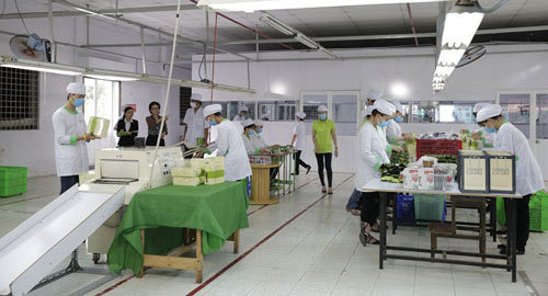 ATZ Healthy Life: thương hiệu ‘sức khoẻ Xanh’