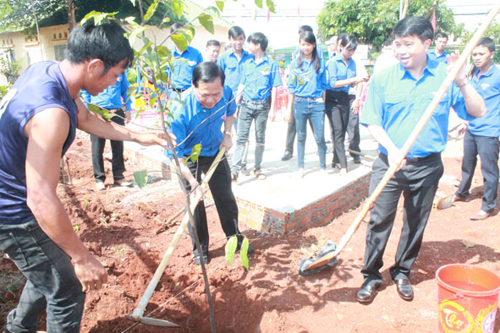 Thanh niên, sinh viên xây cầu, đắp đường cho làng quê