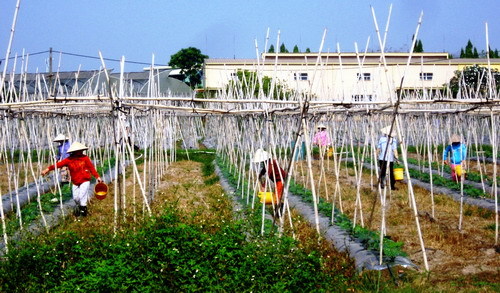 'Ảo thuật gia' bị chơi khăm đau đớn