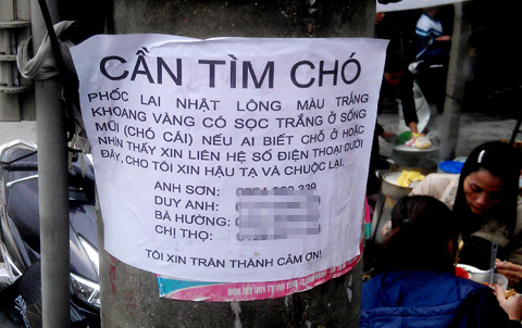 Chi 50 triệu thuê thám tử tìm chó lạc
