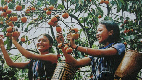 Kỳ lạ: Bắt chồng lúc nửa đêm