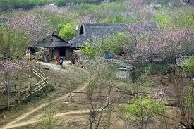 Lên xứ Hoa Đào