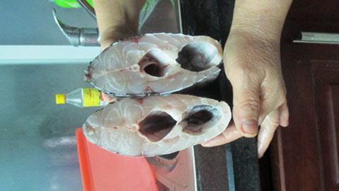 Kỳ lạ con cá 2 khoang bụng ở Hà Nội