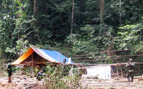 'Kịch bản' kinh hoàng của kẻ giết 5 phu trầm