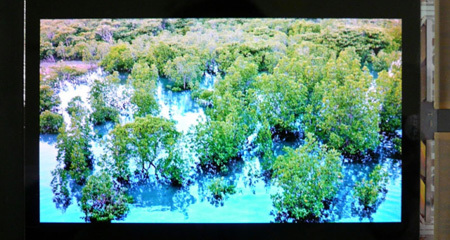 Màn hình OLED 5.2 inch đáp xuống smartphone