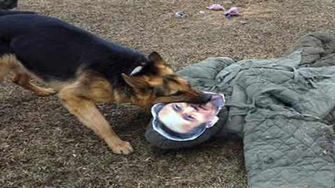 Triều Tiên thả chó vồ 