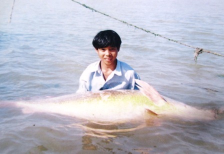 Mẻ lưới Sú Vàng nửa tỷ của ông bí thư chi bộ