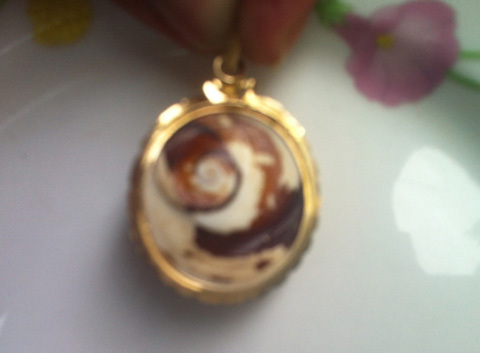 Vỏ ốc biến thành ngọc hiếm giá 1 tỷ ở Huế