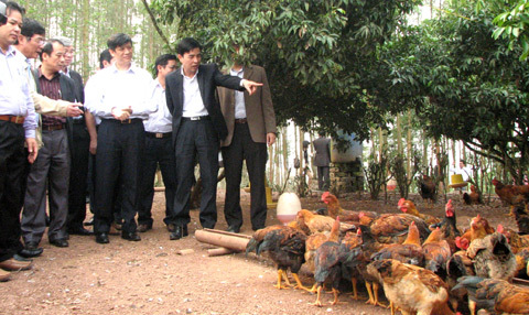 Bộ Y tế kiểm tra phòng chống cúm H7N9 ở Bắc Giang