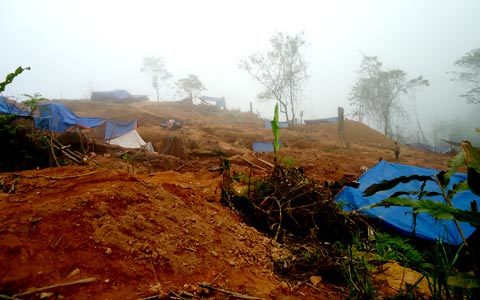 Tiền mất tật mang vì 'giấc mộng vàng'