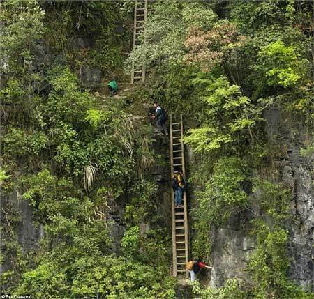 Xót cảnh thầy trò bắc thang lên trời tìm chữ