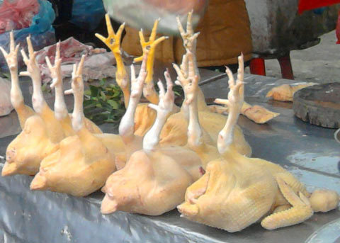 Sợ dịch cúm, người dân 