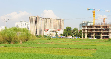 'Một m2 đất lúa chuyển đổi cũng phải xin Thủ tướng'