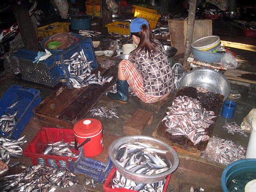 Cá ươn thối thành đặc sản kho tộ, chả rán