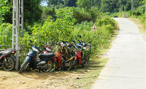 Hàng loạt xe máy bị trộm xăng