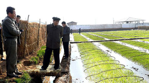 Lính Triều Tiên bất ngờ 