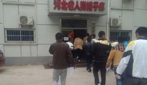 Xôn xao chuyện nam sinh bị ép hiến tinh trùng
