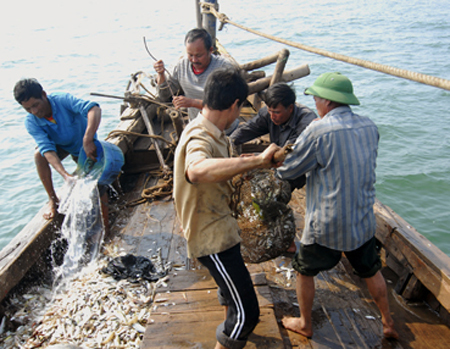Nghề câu khơi trên Biển Đông: Thu phục cá 'khổng lồ'