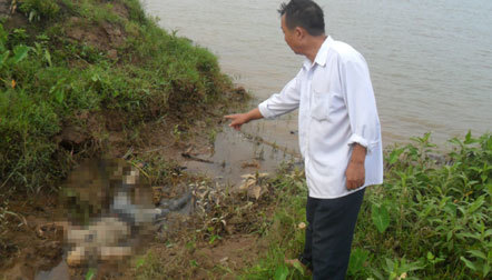Phát hiện xác chết trôi dạt vào bãi trên sông Hồng