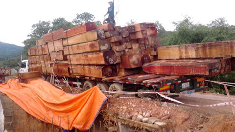 Xe 'khủng' chở gỗ mắc kẹt nhiều giờ trên quốc lộ 8A