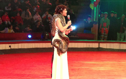 MC bị ngựa hất, ngã đập đầu vào đá