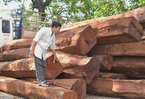 Xe tải lật nhào, lộ ra gỗ lậu