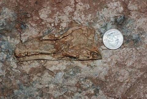 {keywords}