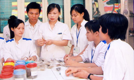 Sẽ tăng mức chi cho giảng viên làm khoa học