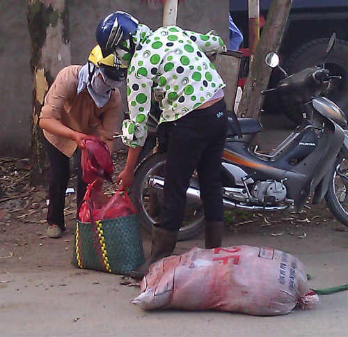 Tiết lộ kinh hoàng: Lợn tai xanh làm chả, làm ruốc