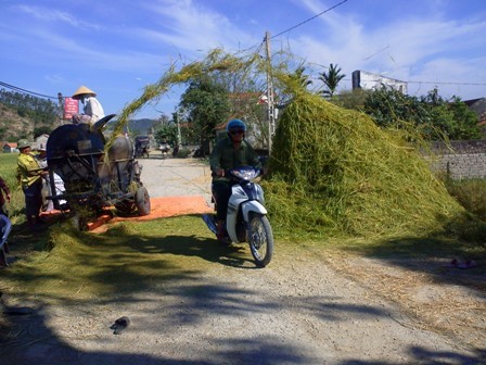 Muốn qua đường phải chui qua làn rơm bụi