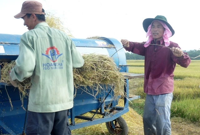 Làm việc dưới nắng nóng, một người tử vong