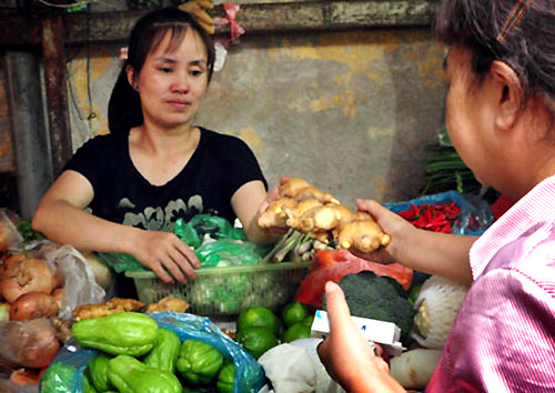 Phát hiện mẫu gừng TQ nhiễm thuốc trừ sâu cực độc